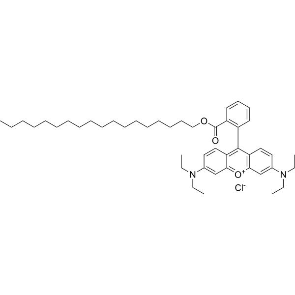 Octadecyl Rhodamine B chloride 65603-19-2